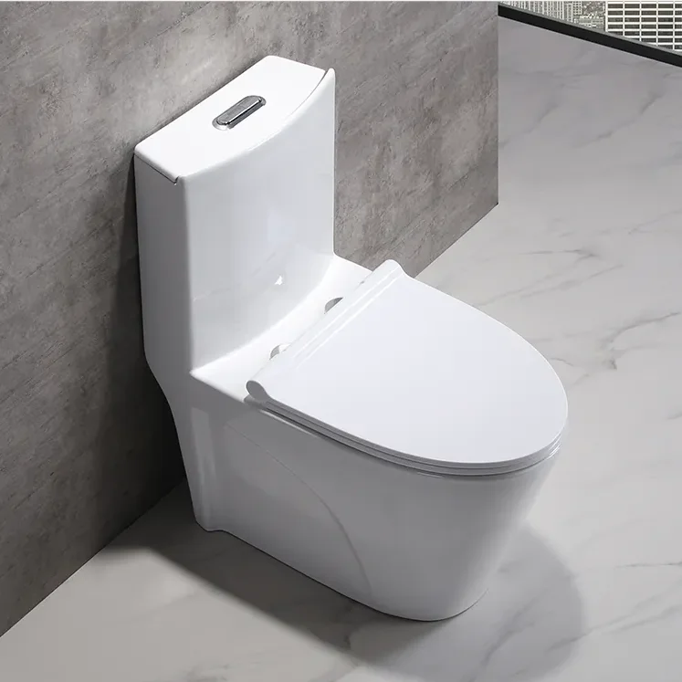 One Piece Ceramic Toilets Dual Flush